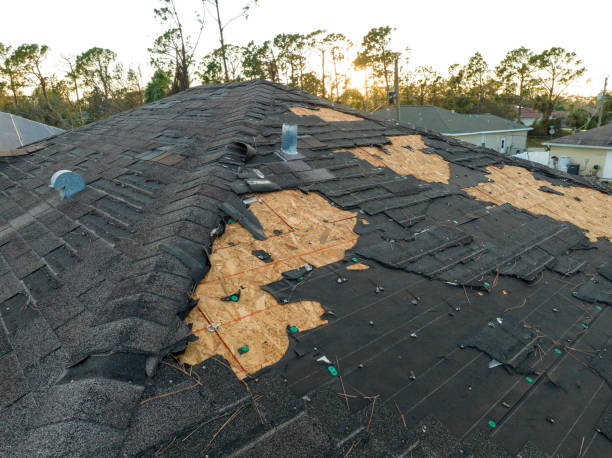 Best Roofing for New Construction  in Mcgaheysville, VA