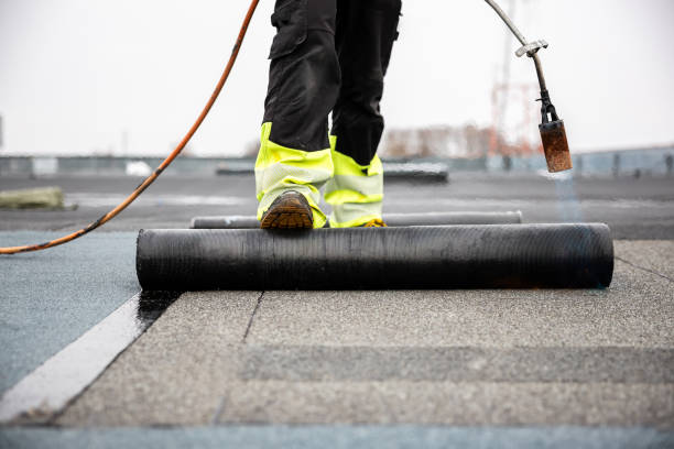 Best Roof Insulation Installation  in Mcgaheysville, VA