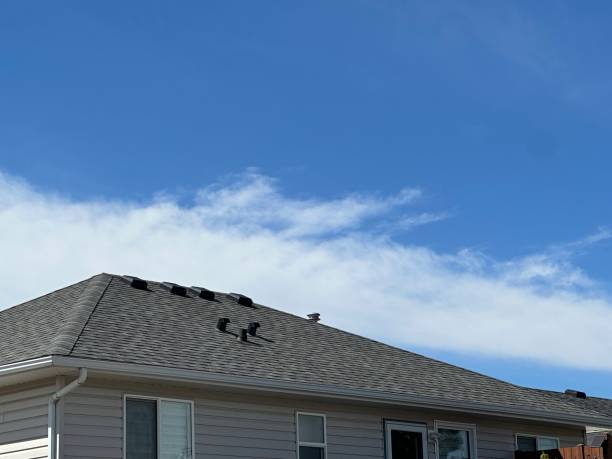 Best Roof Ventilation Installation  in Mcgaheysville, VA